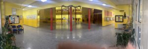 hol skole